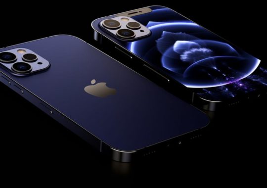 Un fondo de pantalla de video HD para iPhone 11 Pro, con ilustraciones hiperrealistas de animales en tonos oscuros de violeta y negro claro, con un estilo que recuerda al cloisonnismo y al arte precisionista, destacando por su atención realista al detalle.